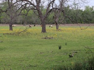 Rs County Rd #2365, Alba, TX 75410