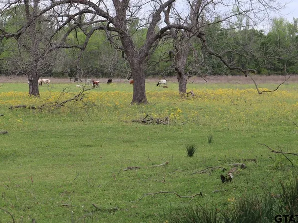 Rs County Rd #2365, Alba, TX 75410