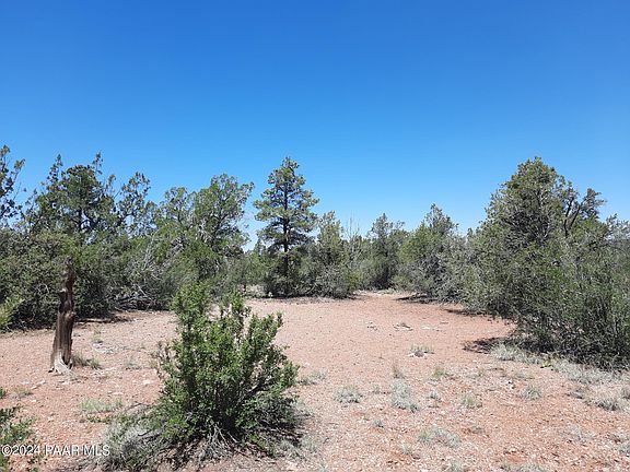 4th image of LOT 219 Forest Ln