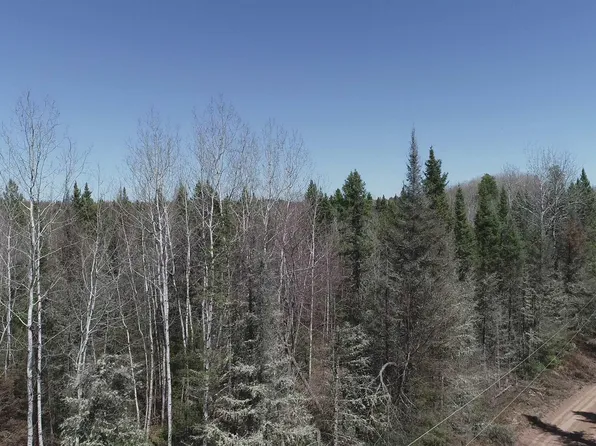 Helen Lake Rd, Republic, MI 49879