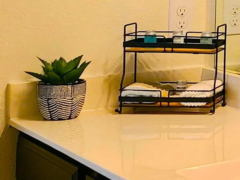 Private bathroom countertop