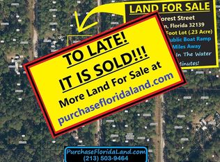 149 Forest St, Georgetown, FL 32139