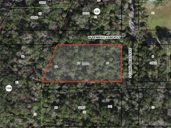 10388 W Pennsylvania St, Homosassa, FL 34448
