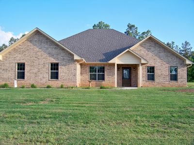 182 Tiger Lily, Diana, TX, 75640