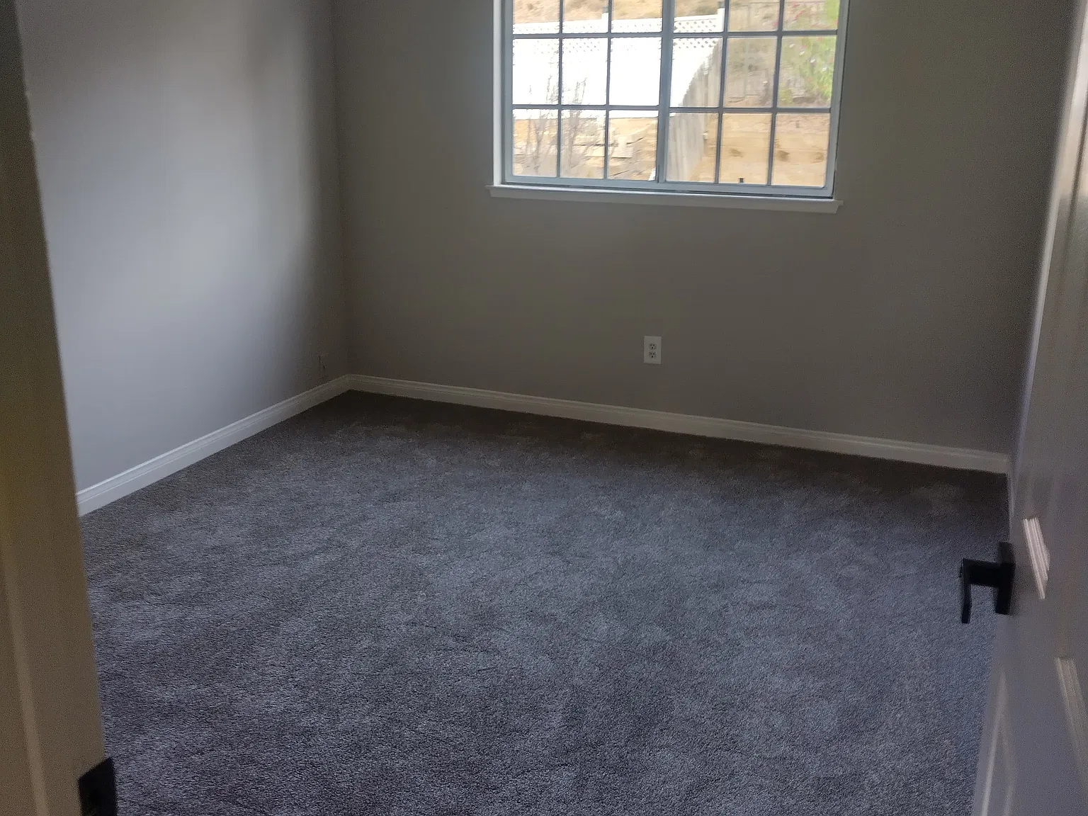 29433 Abelia Rd — Photo 4