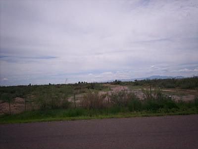 Looking from Joe Hines