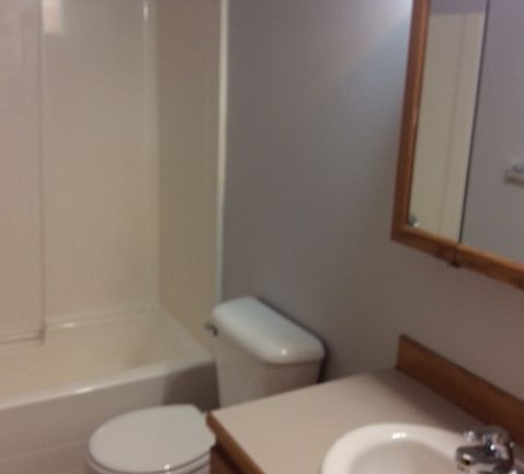 Main bathroom