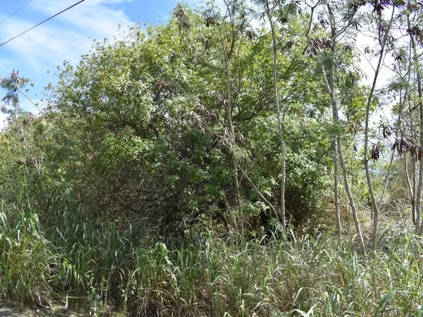 Poko St Lot 3, Naalehu, HI 96772