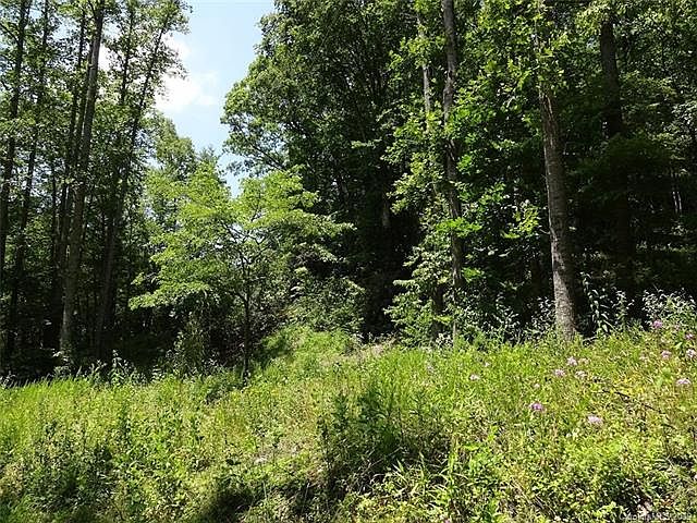 2nd image of 0 Battle Creek Rd