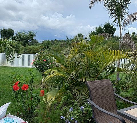 Fenced in backyard 