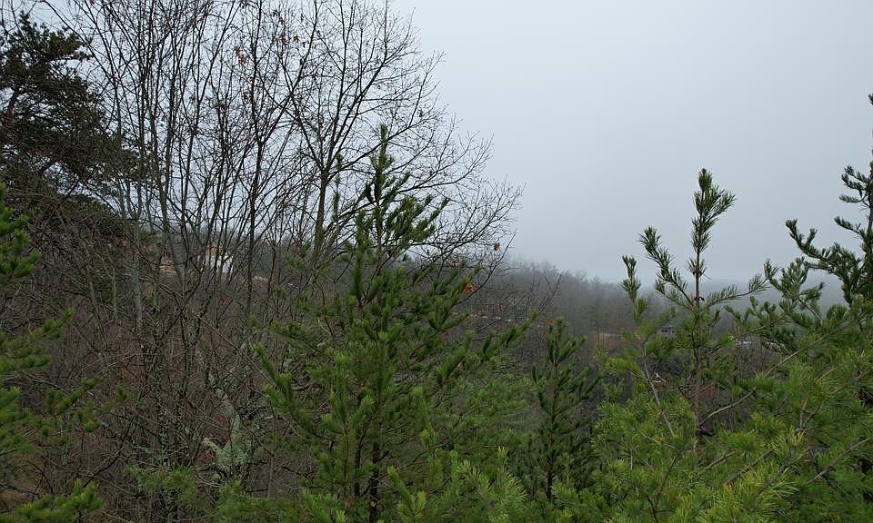 1st image of 31 Grouse Ridge Ln Lot 31