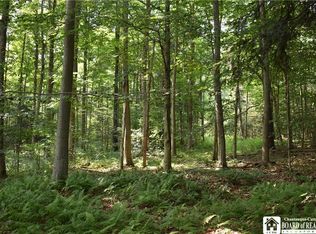 Foe Rd, South Dayton, NY 14138