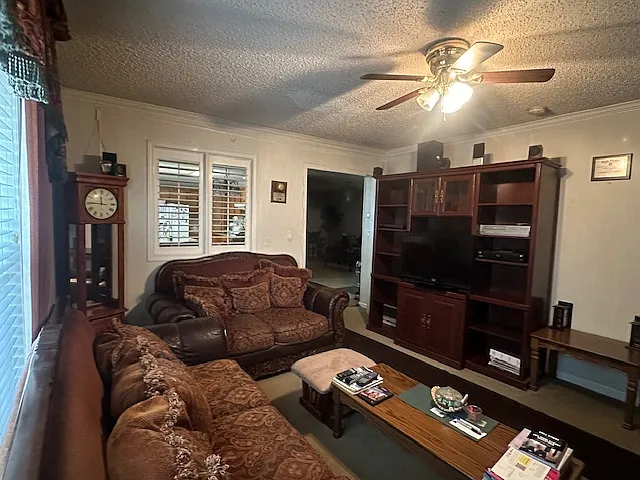 29 Mike Dr — Photo 9