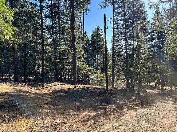 4th image of 13417 Patterson Creek Rd
