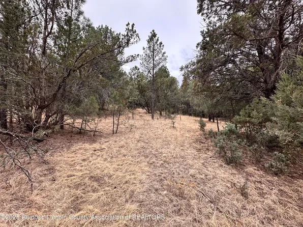 111 Antler Dr, Alto, NM 88312
