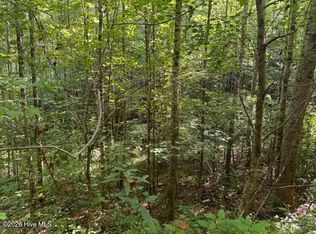 3 Tyler Ln, Marble, NC 28905