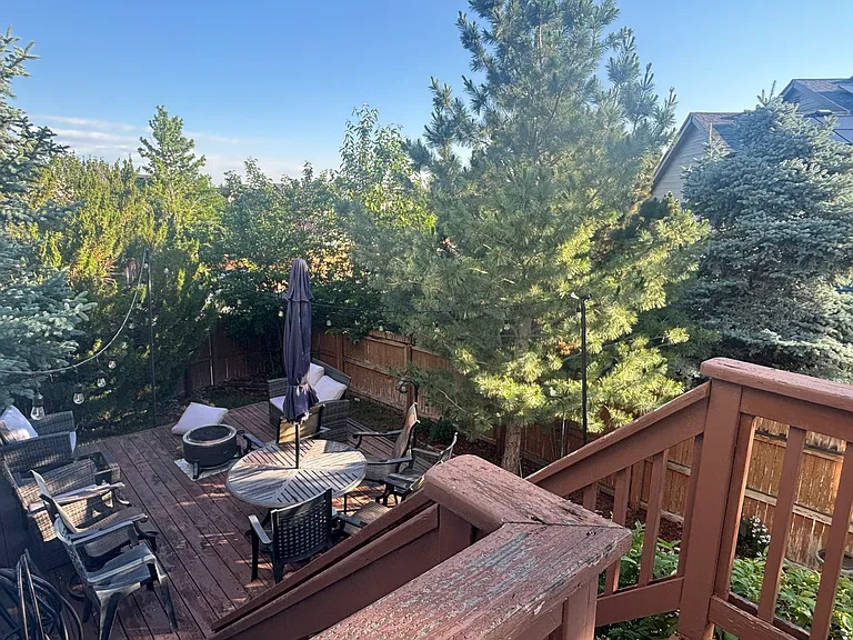 21306 White Ash Ct — Photo 20