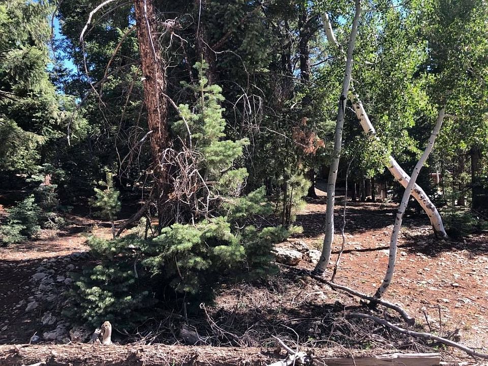 2nd image of 705 E Whispering Pines Dr