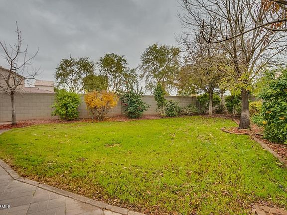 Backyard grass area 20161229001801839918