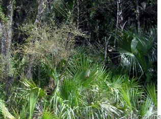 8259 N Monaghan Ter, Crystal River, FL 34428