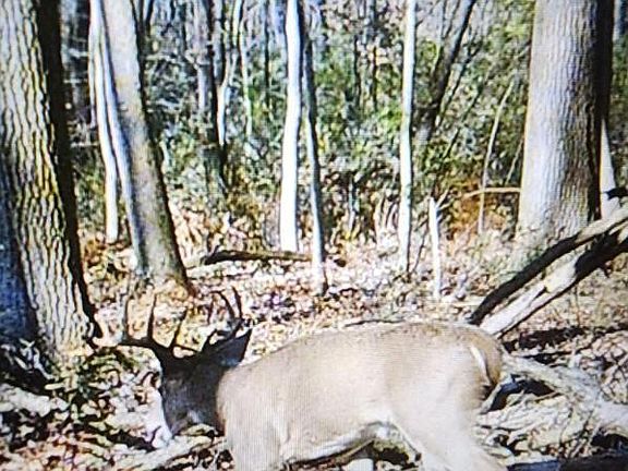 2nd image of 4660 S Berkey Southern Rd