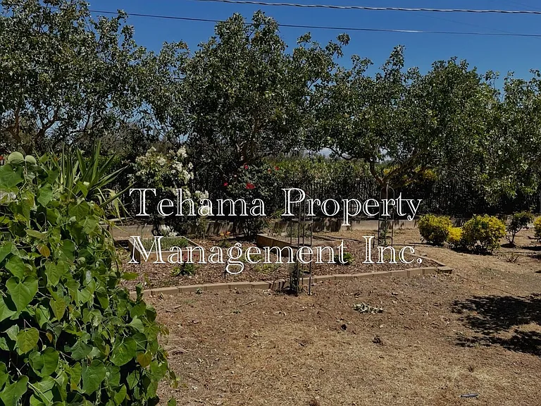 23353 Hamilton Ave — Photo 15