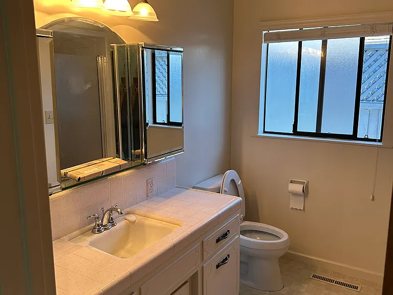 Main Bath includes a stand-alone shower with a separate bathtub.