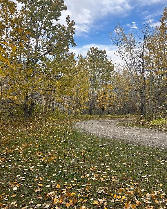 Nhn Arlie Tracts Lots 28/29, Babb, MT 59411 MLS 22115011 Zillow