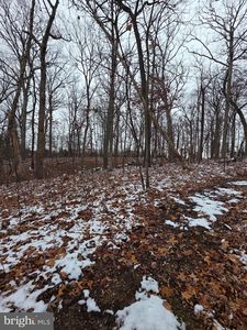 Huttle, Middletown, VA, 22645