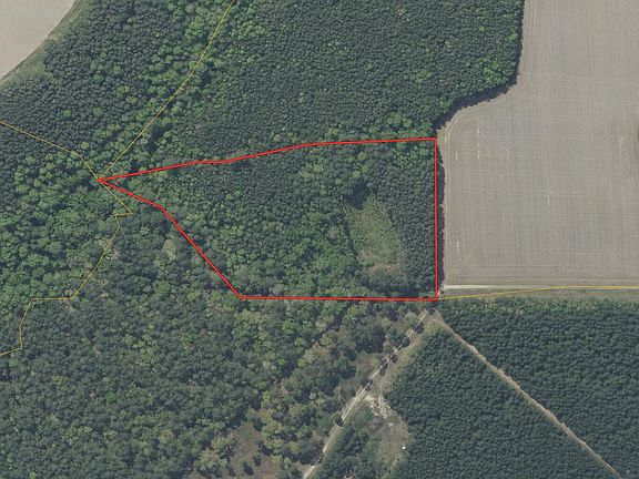 2nd image of 141 Tall Cotton Road