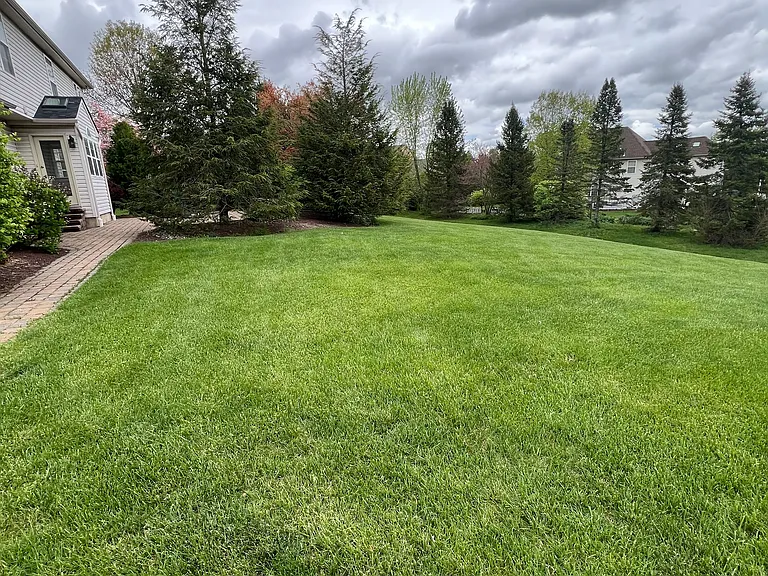 2386 Dubonnet Dr — Photo 12