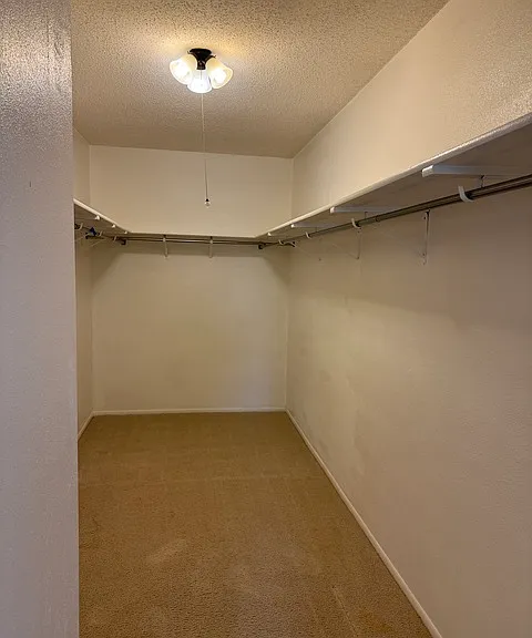 4622 Rock Nettle — Photo 11