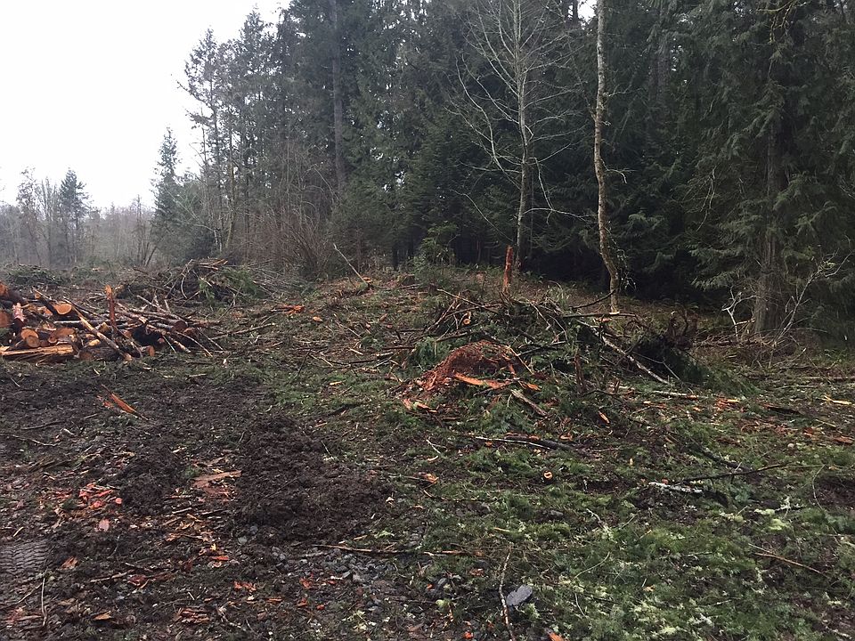 2nd image of Reeves Rd SW