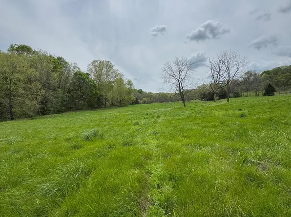 Tbd Miser Hollow Road, Jane, MO 64856