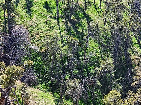 4th image of 40 Seminole Rd