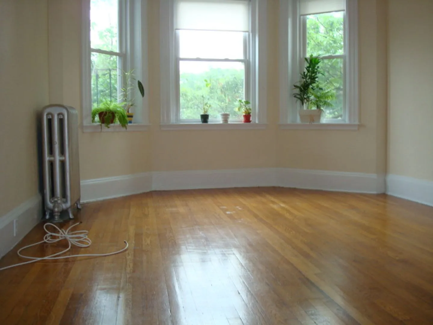 Packards Corner All New Beautiful Studio Heat And Hw Inc Laundry, No Fee — Photo 1