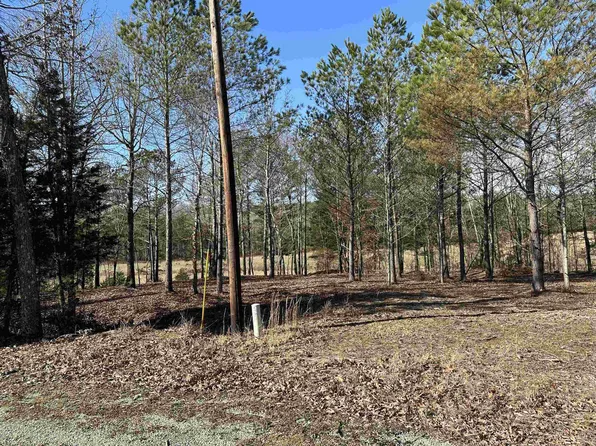 0 Chism Ln Lot 18, Beech Bluff, TN 38313