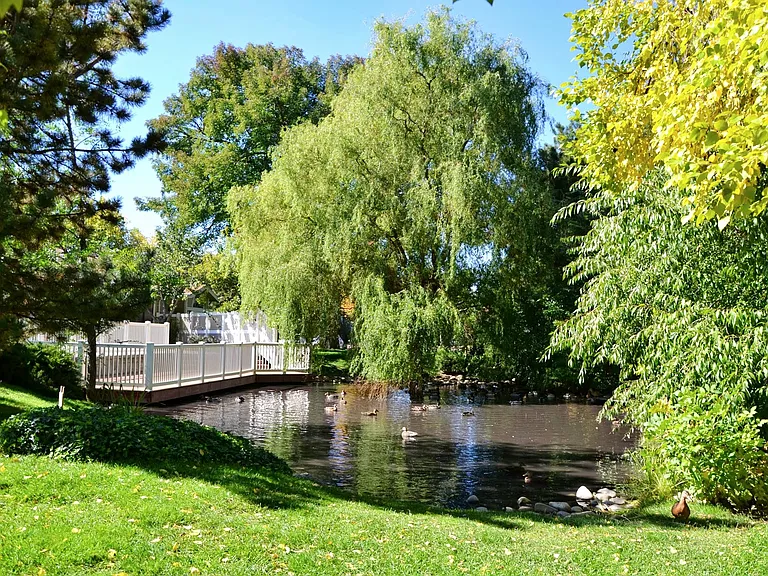 Springs of Royal Oaks — Photo 28