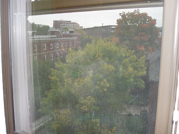 View from the kitchen window.