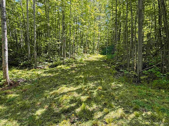 5th image of 3 W Off Highway M Hwy #64