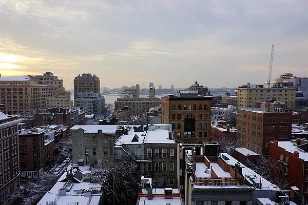 Rented by Domus Realty | media 51