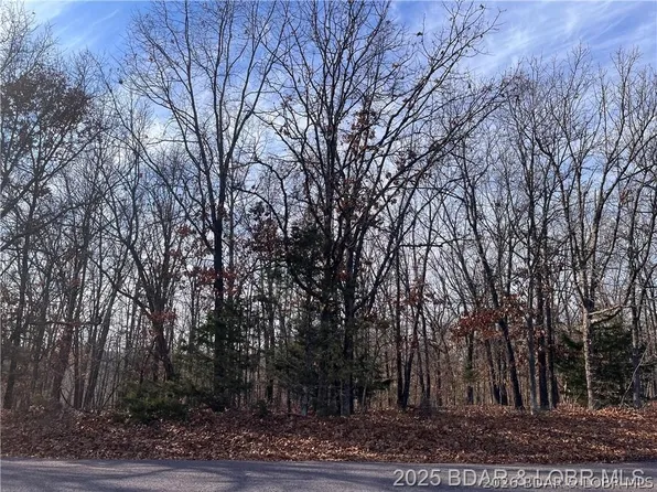 2-3 Four #&-5, Gravois Mills, MO 65037