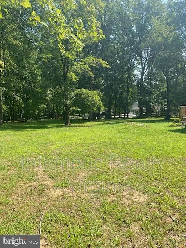 3 bed, 1.0 bath, 920 sqft, $1,450 — Photo 2