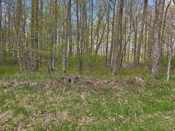 Tbd Nicholas St, Grand Rapids, MN 55744