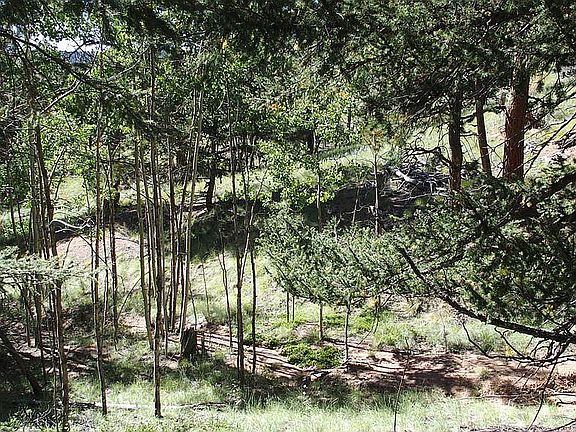 4th image of 123 Mariposa Dr