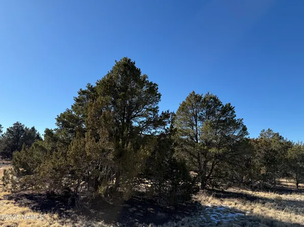 7399 N Eight Mile Blvd, Williams, AZ 86046