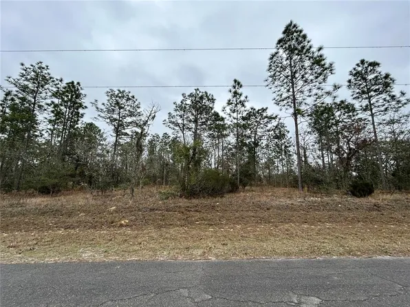 TBD NE 150TH AVENUE LOT 15, WILLISTON, FL 32696