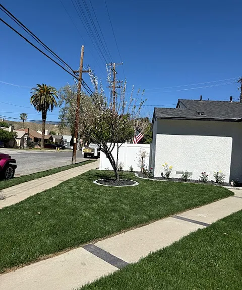 696 Courtland Dr — Photo 20