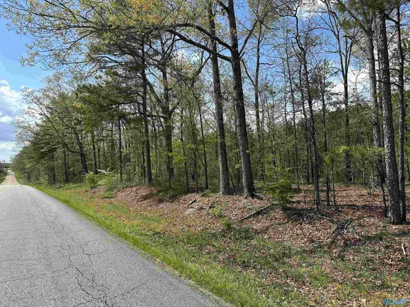 37.5 Northwood Dr, Centre, AL 35960