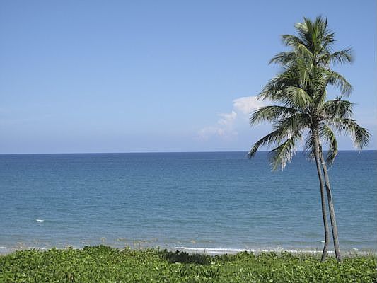 1st image of 3120 S Ocean Blvd APT 1301